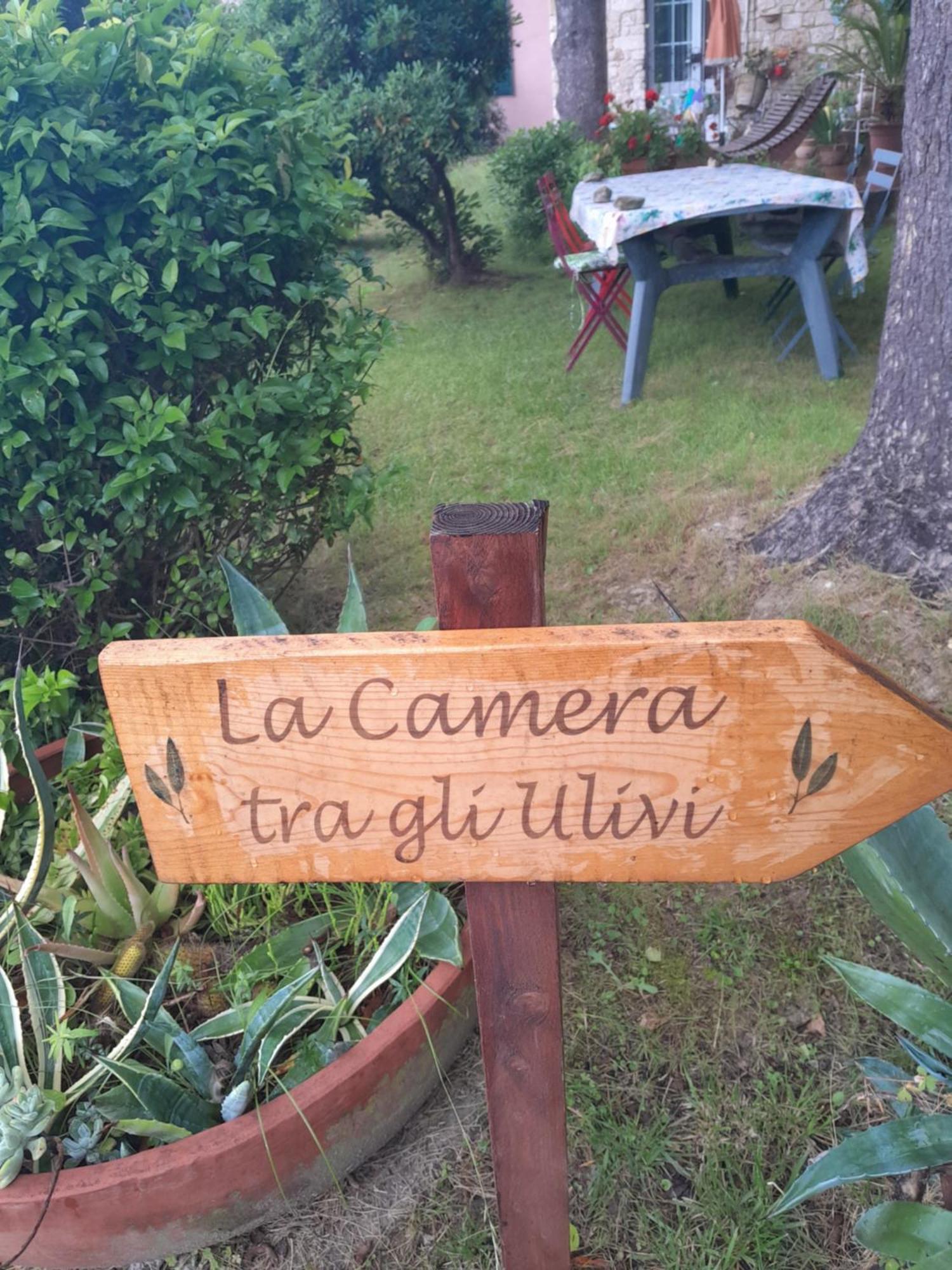 La Camera Tra Gli Ulivi Dream Finale Finale Ligure Exterior photo